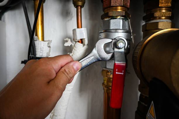 Best Shower Repair Services  in Loch Lomond, VA